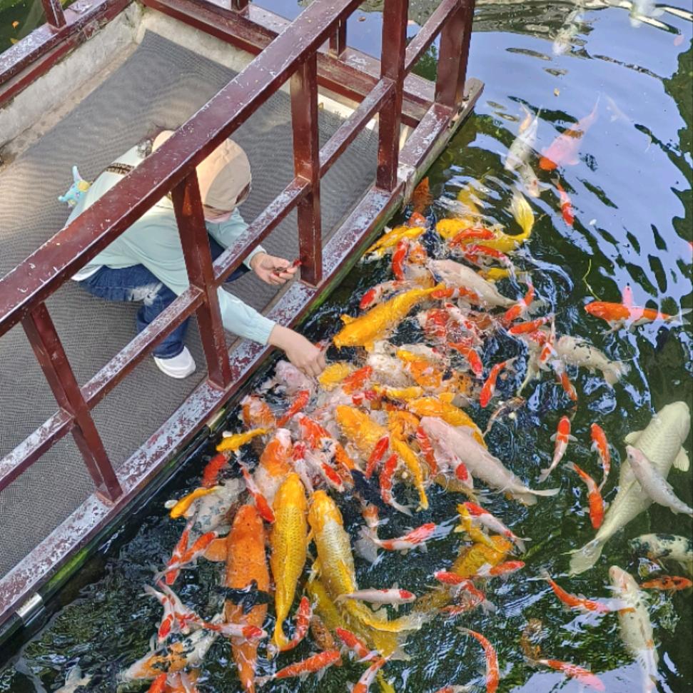 乔竺清鼻堂济源店