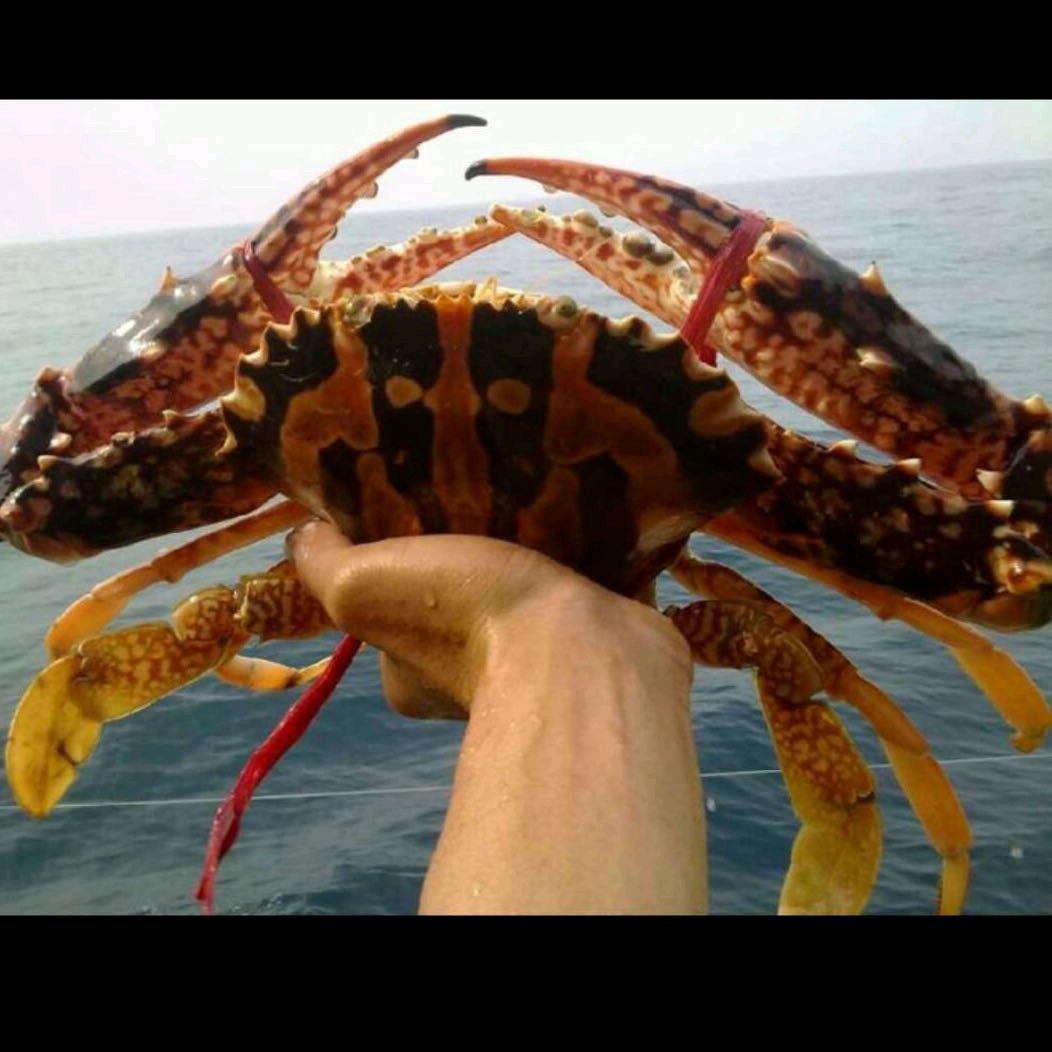 海沃之角