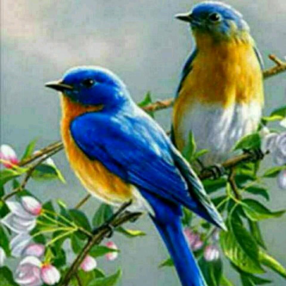 在家保身体，出门保安全