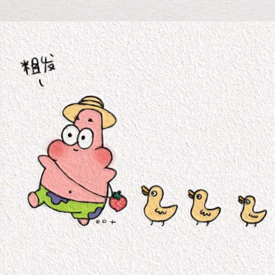 🦚滚🌕滚🍀