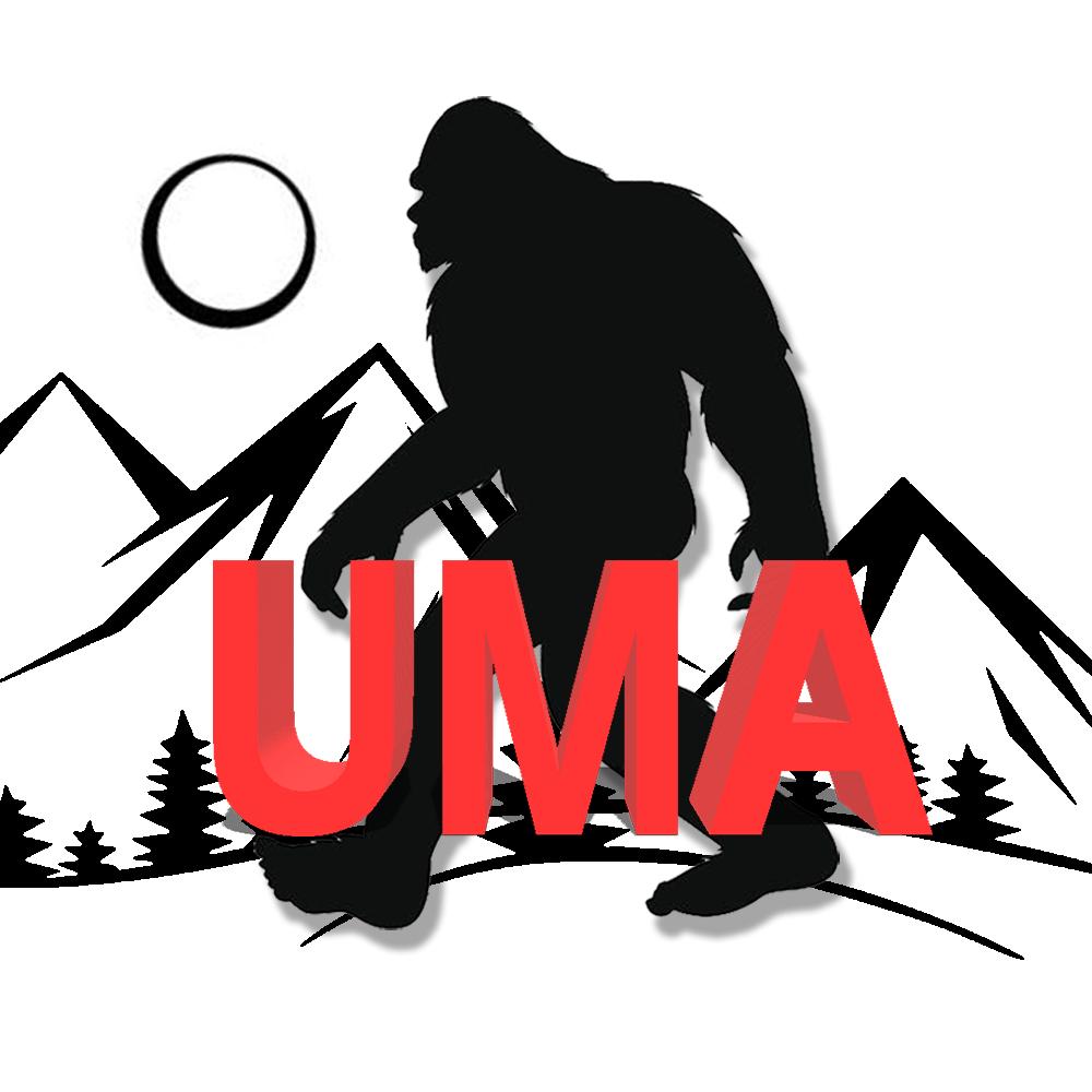 影Man·未知档案@抖音