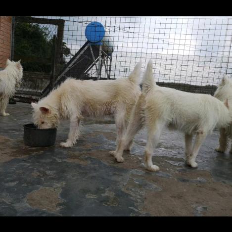 飙(biao)风（安顺幺铺 平安）