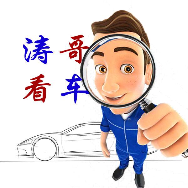 涛哥看车