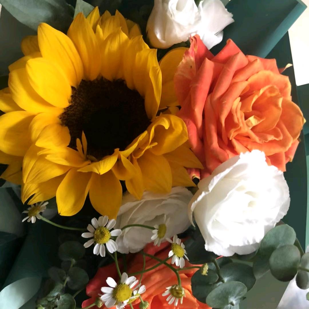 和为贵《请勿连續点赞》