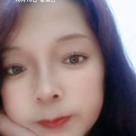 单只蝴蝶