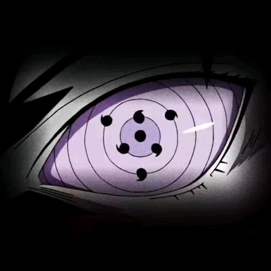 请叫我鲨鱼先生