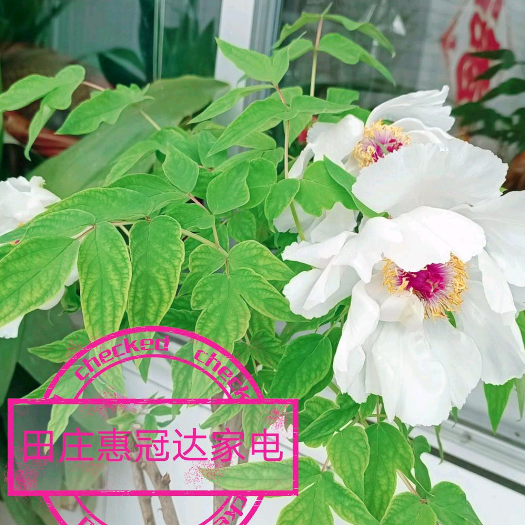 添福见财/惠冠达家电商场/