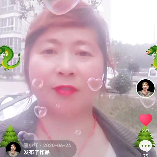 蔡小红