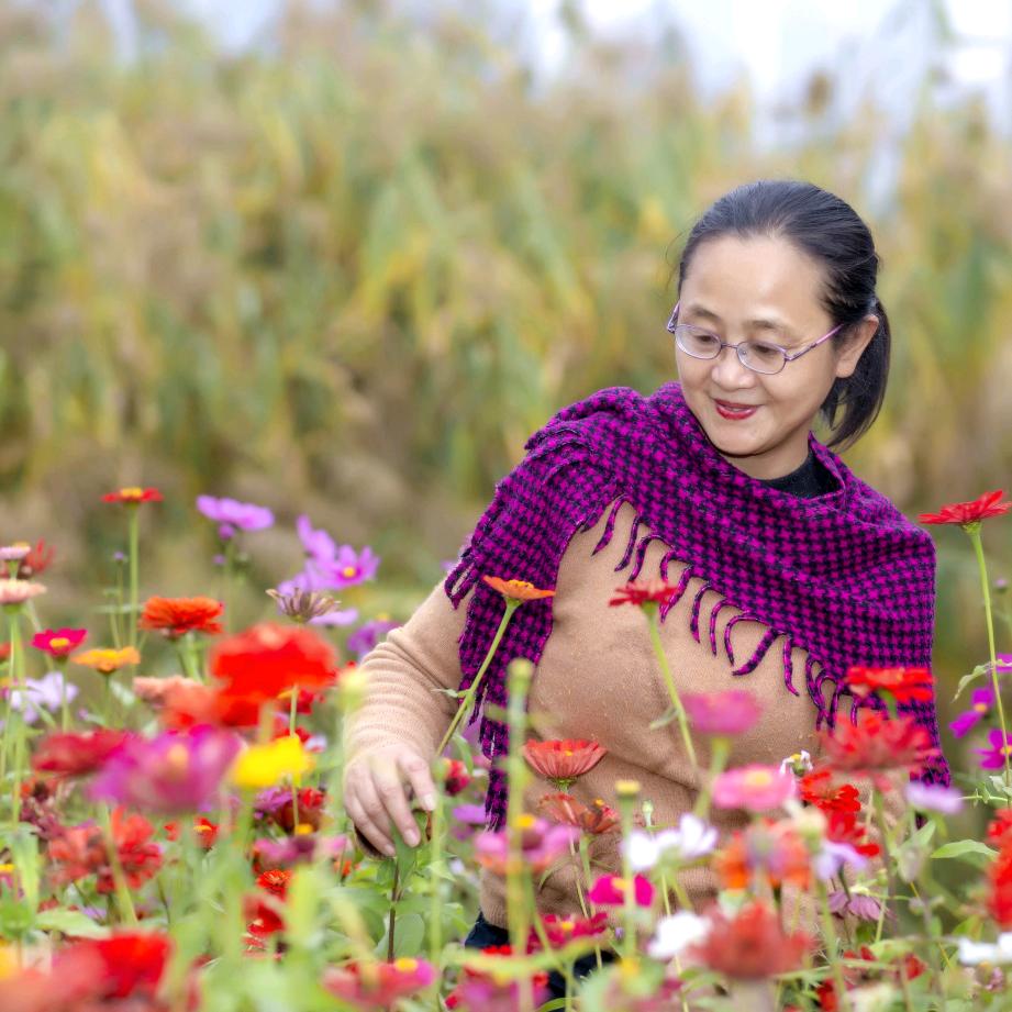 六根清净（手机摄影）