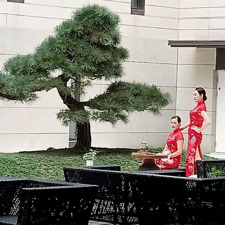 甘南县魅力衣升服饰店