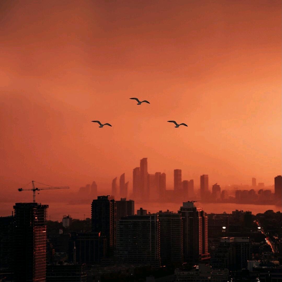 欧阳朝辉 —欧和泰路标