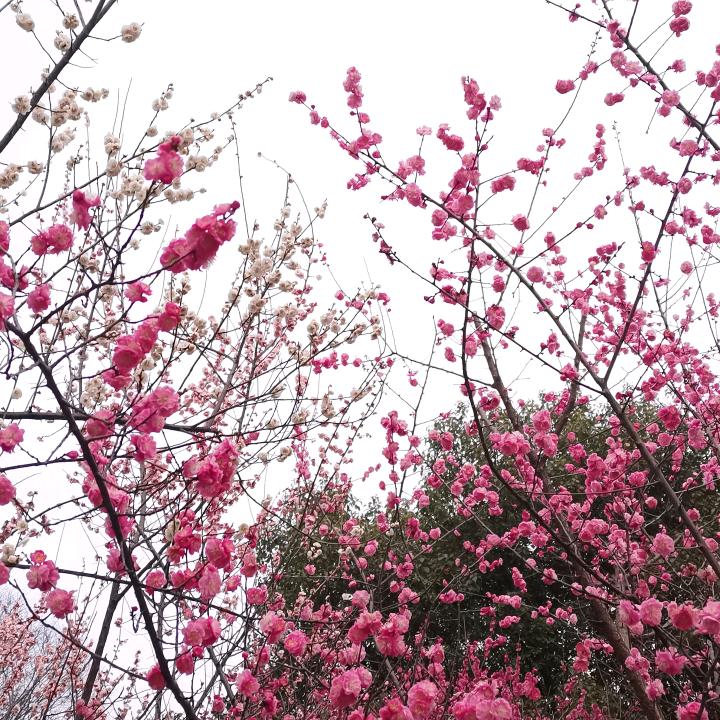 一生平安
