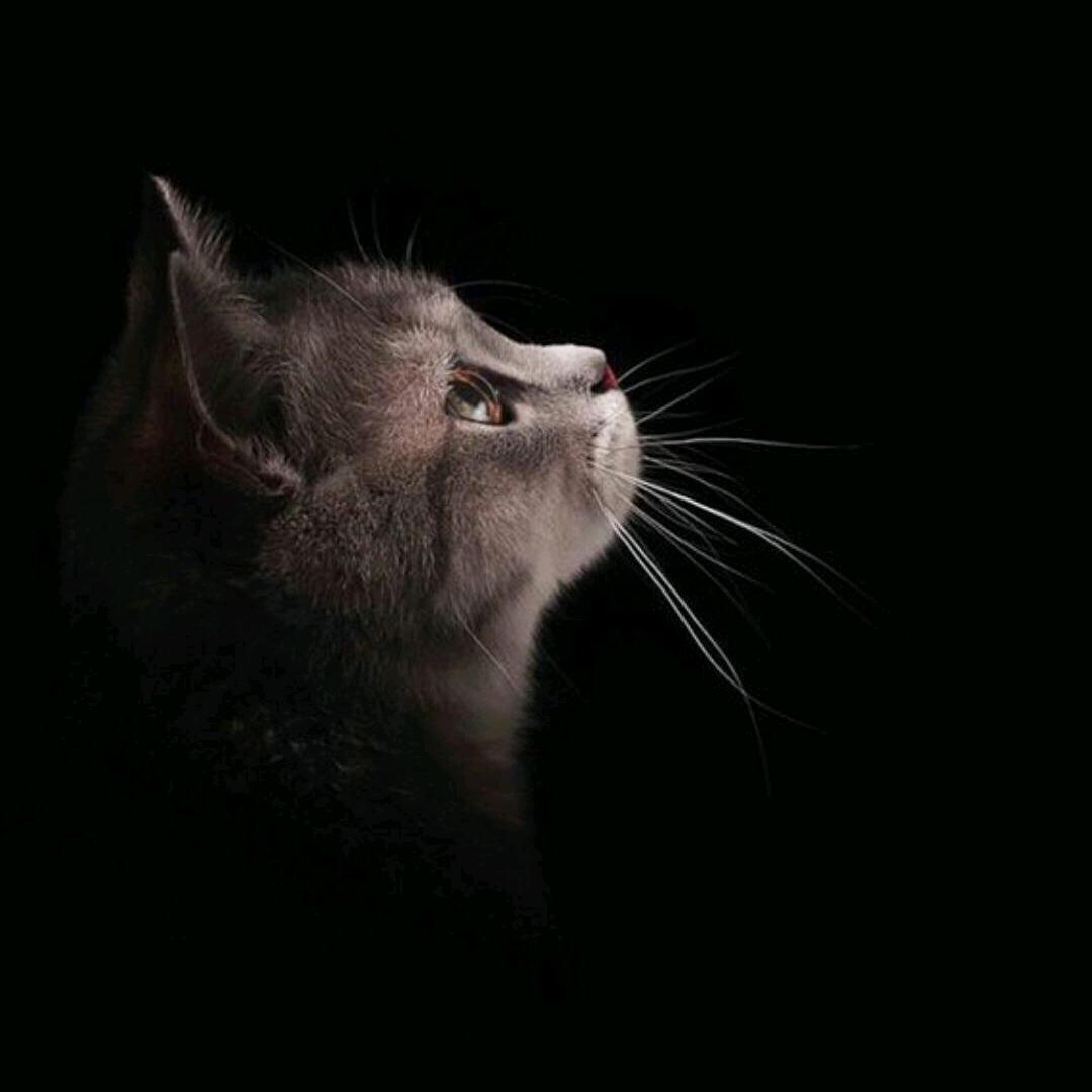 Ღ᭄ꦿ妳 猜不透এ