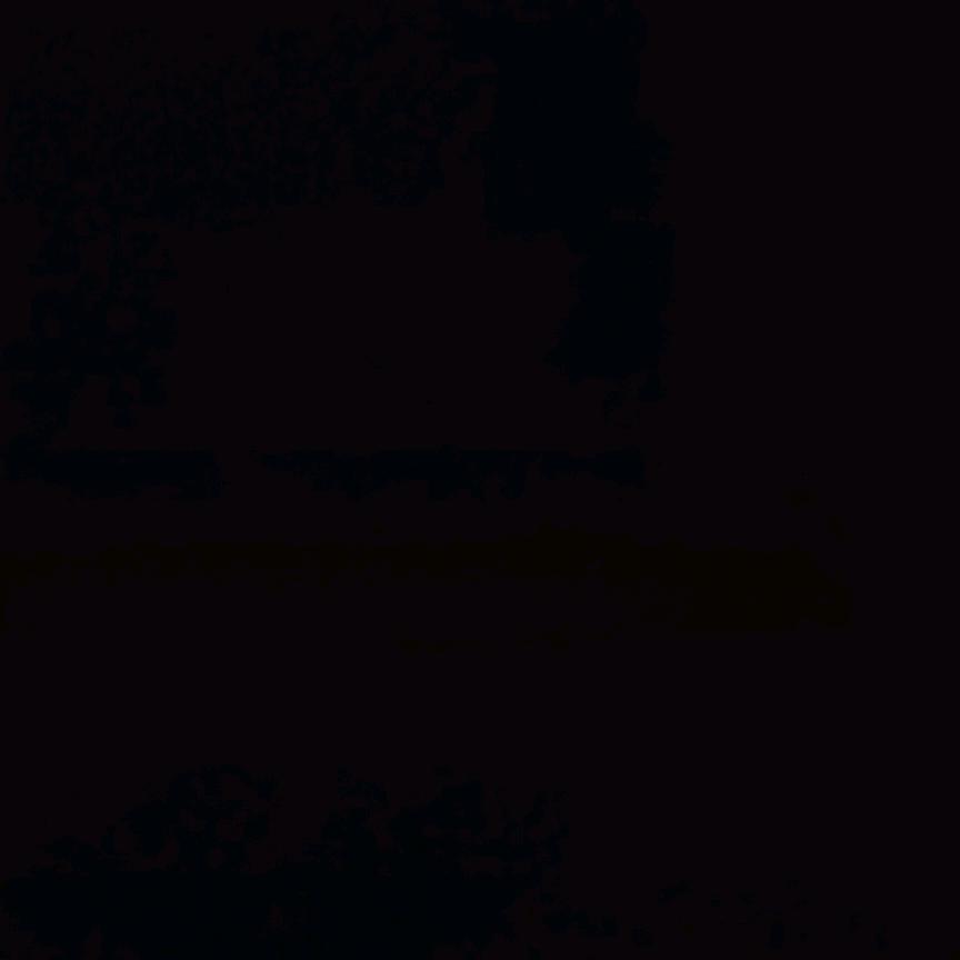 👻富贵