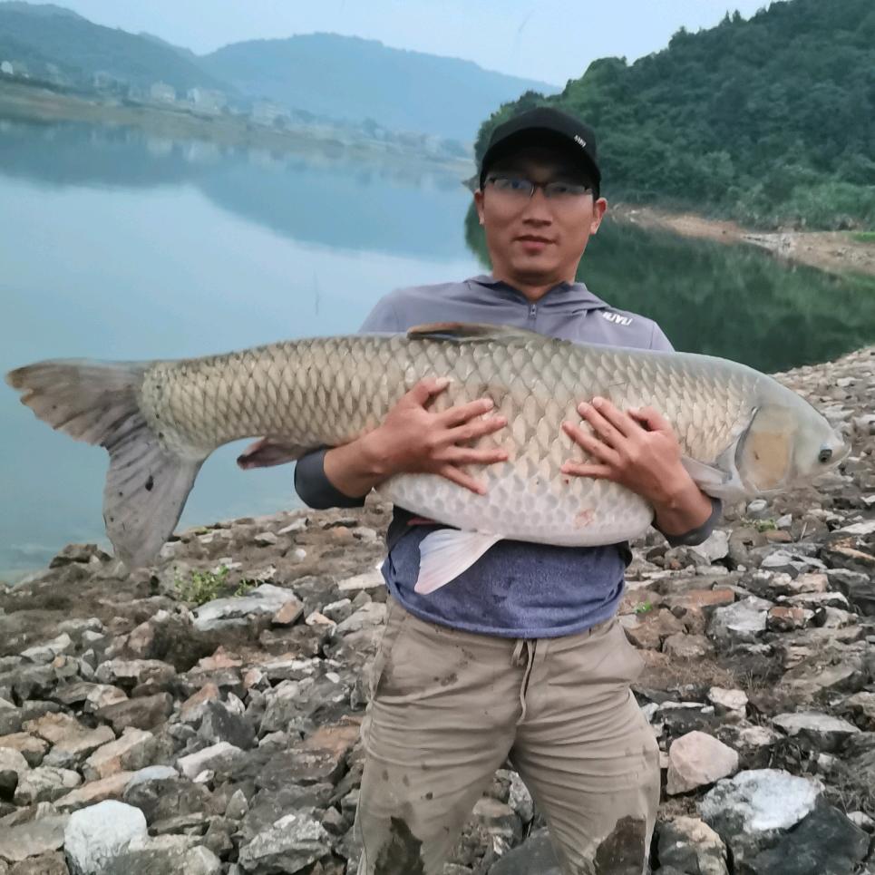 勇哥是个钓鱼佬