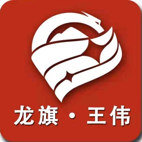 沈阳龙旗地磅大屏幕厂王伟