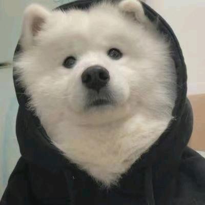 王云吞