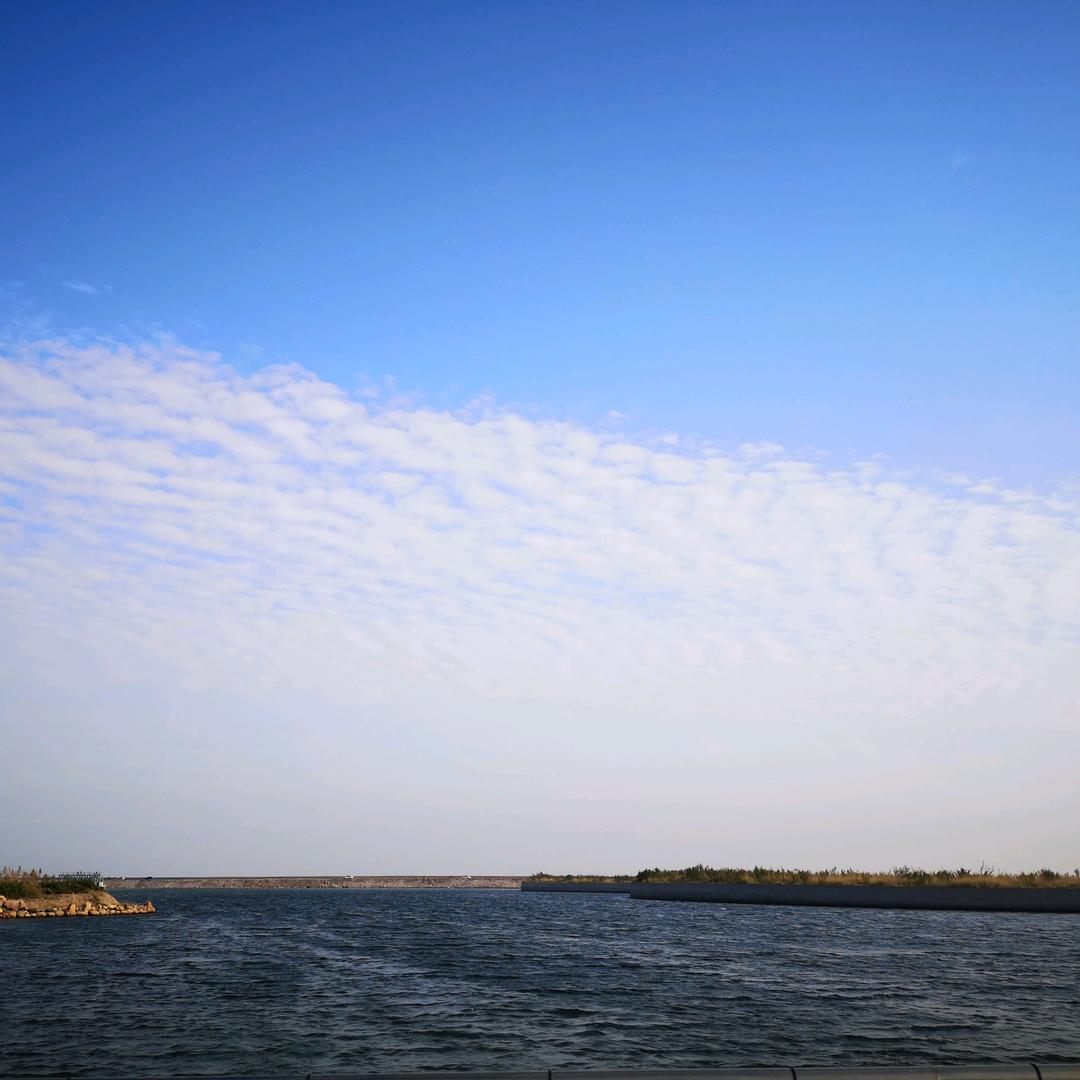 香肠鸭（脆皮鸭的兄弟）