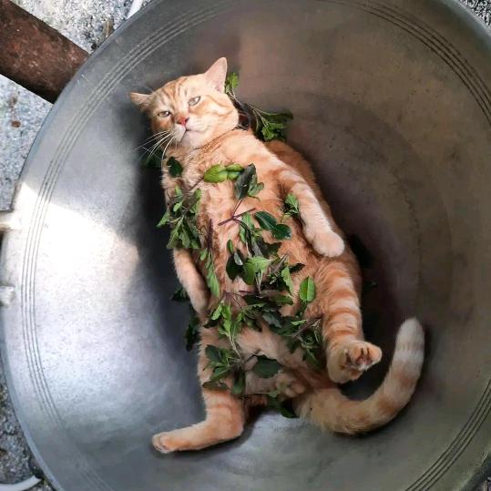 (:
