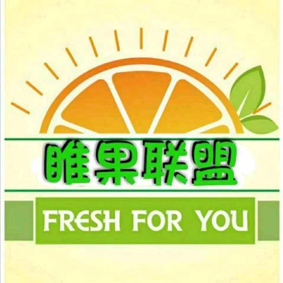 睢果联盟文化路