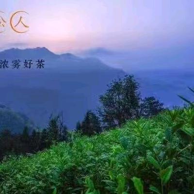 王小吉