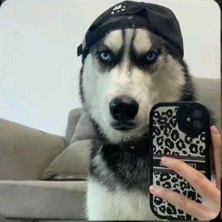 ------