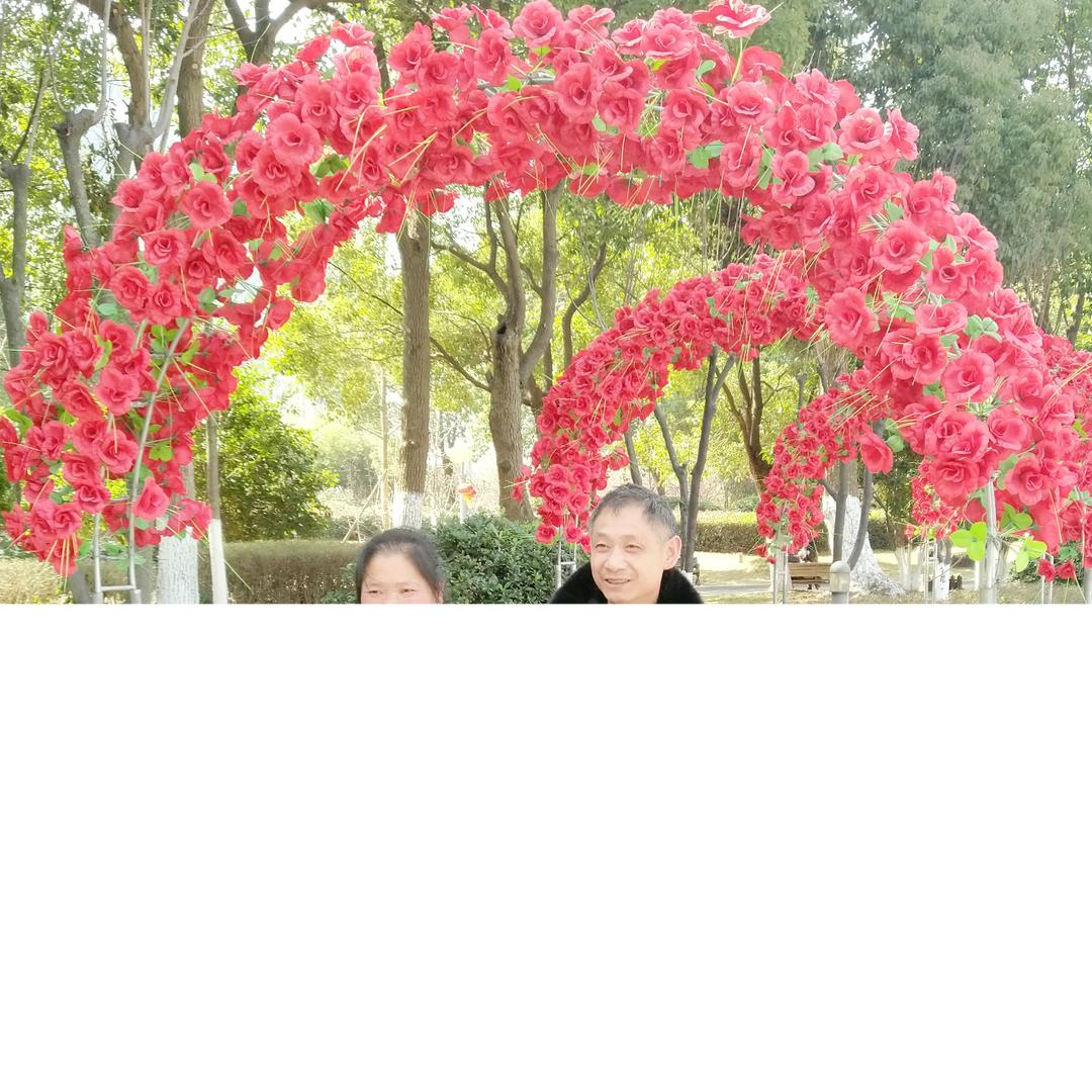 用户4777292601866