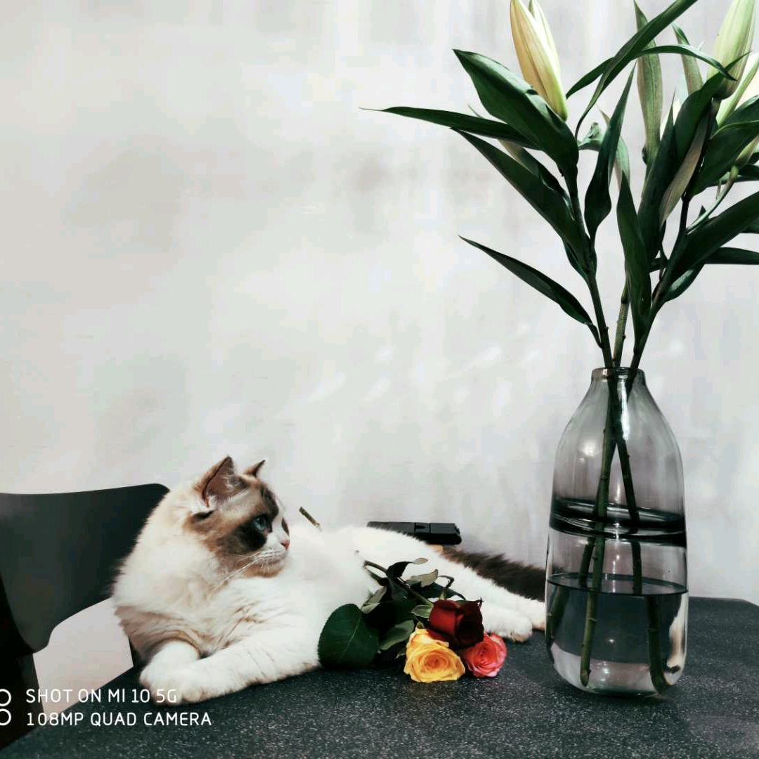 芊琉芊芊万ﾉ☀