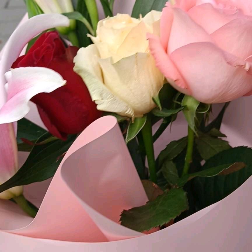 爱情海🌹🌹🌹🌹🌹🌹