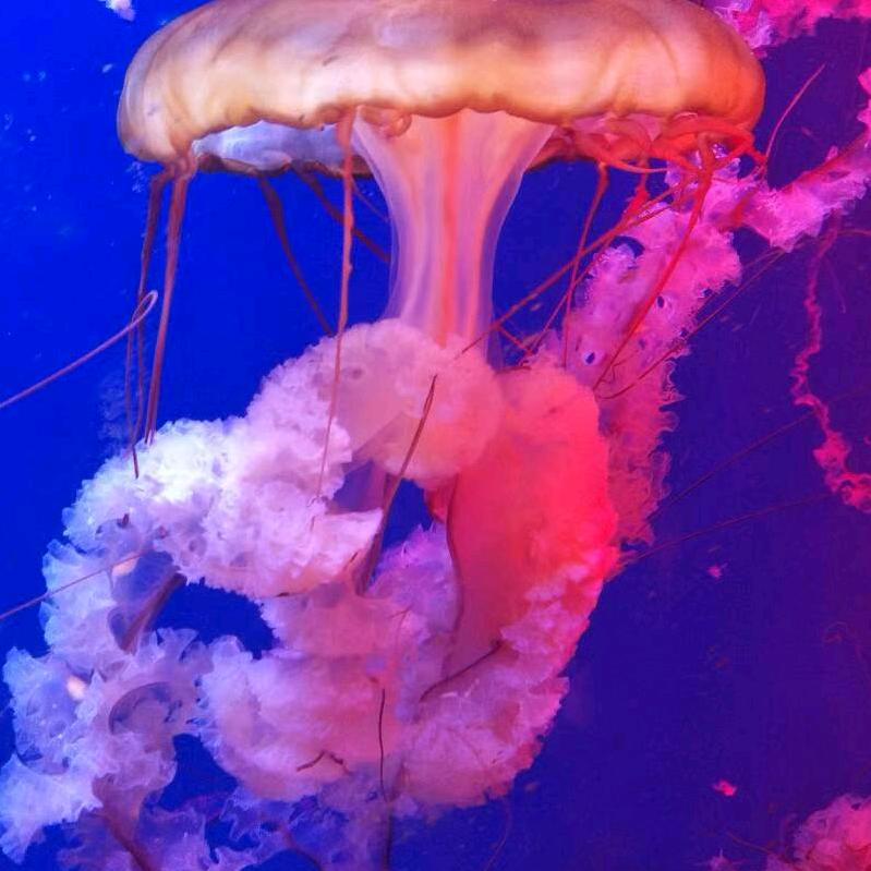 心累