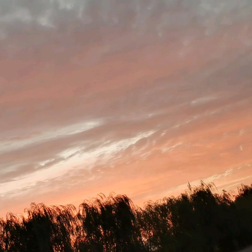 凤城市凯明商贸行