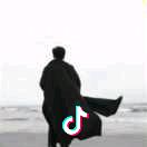 放手一博
