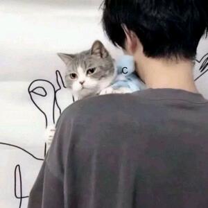 我爱猫猫🌈💨