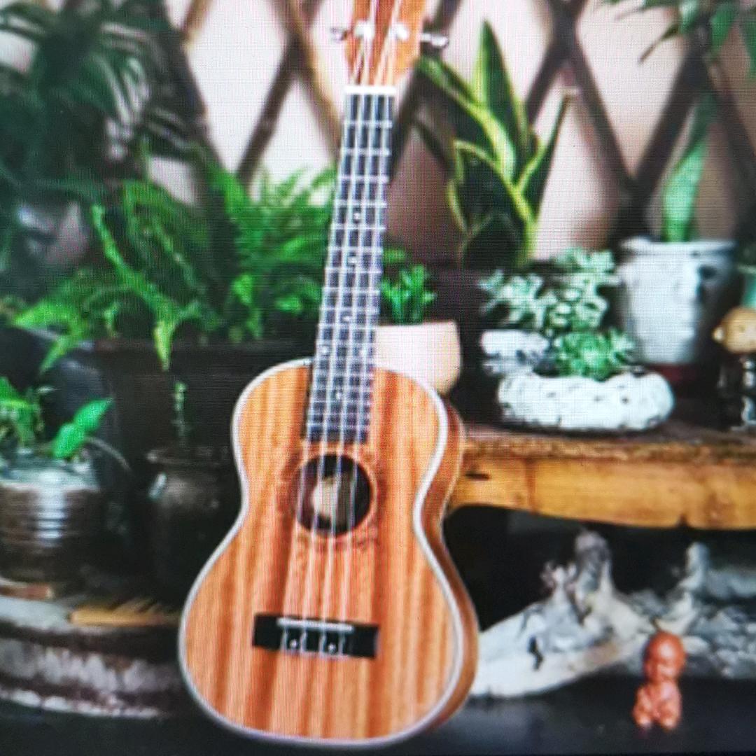 甜粽宝和咸粽宝