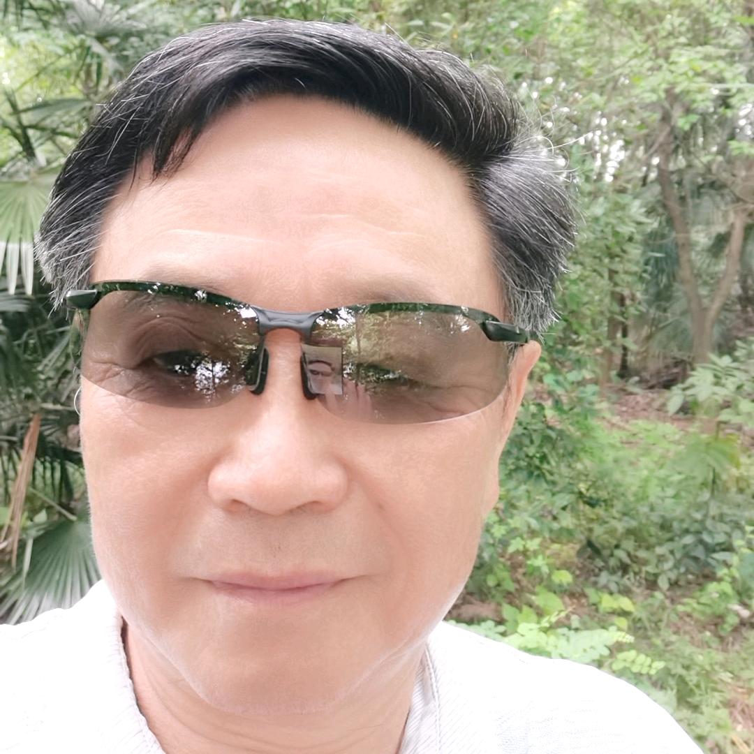 @树南