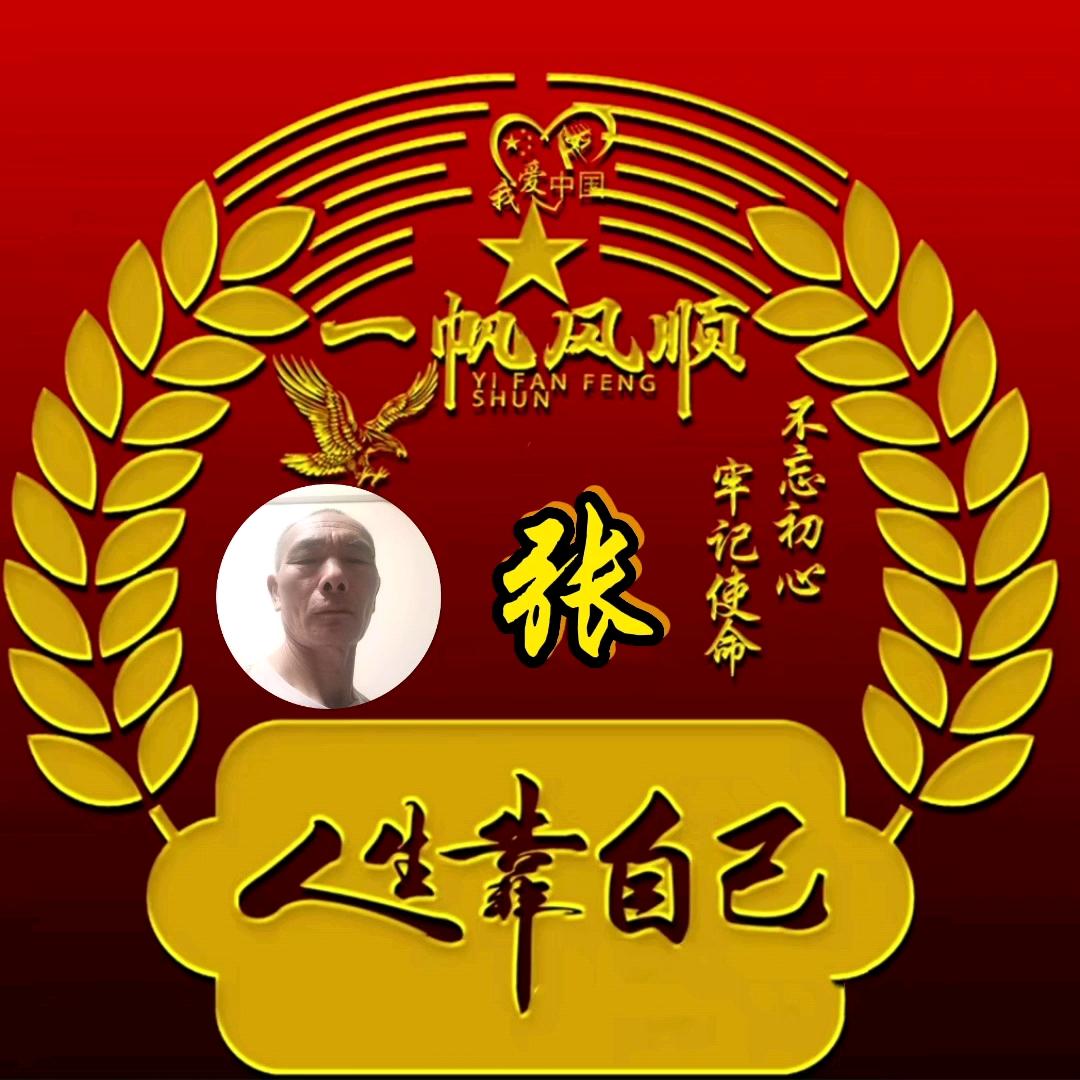 张来张往