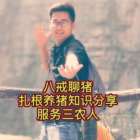 八戒聊猪