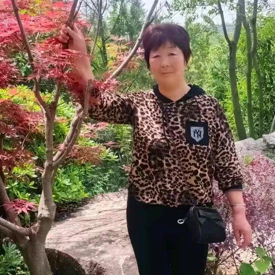 开心快乐