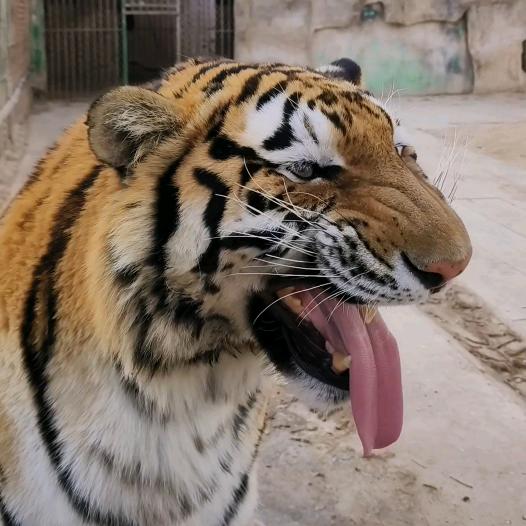 濮阳，娜娜姐@抖音