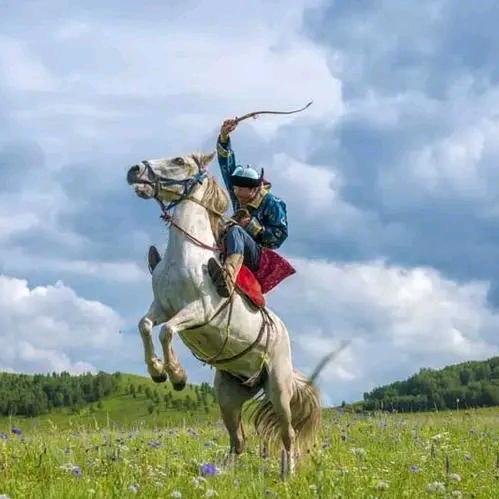 策马扬鞭～^…^