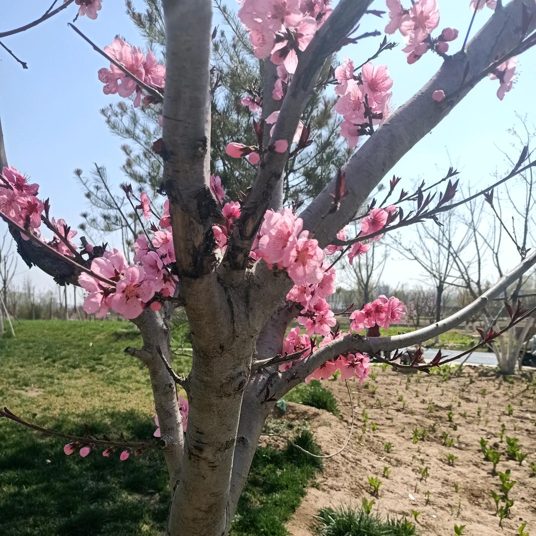 涵涵