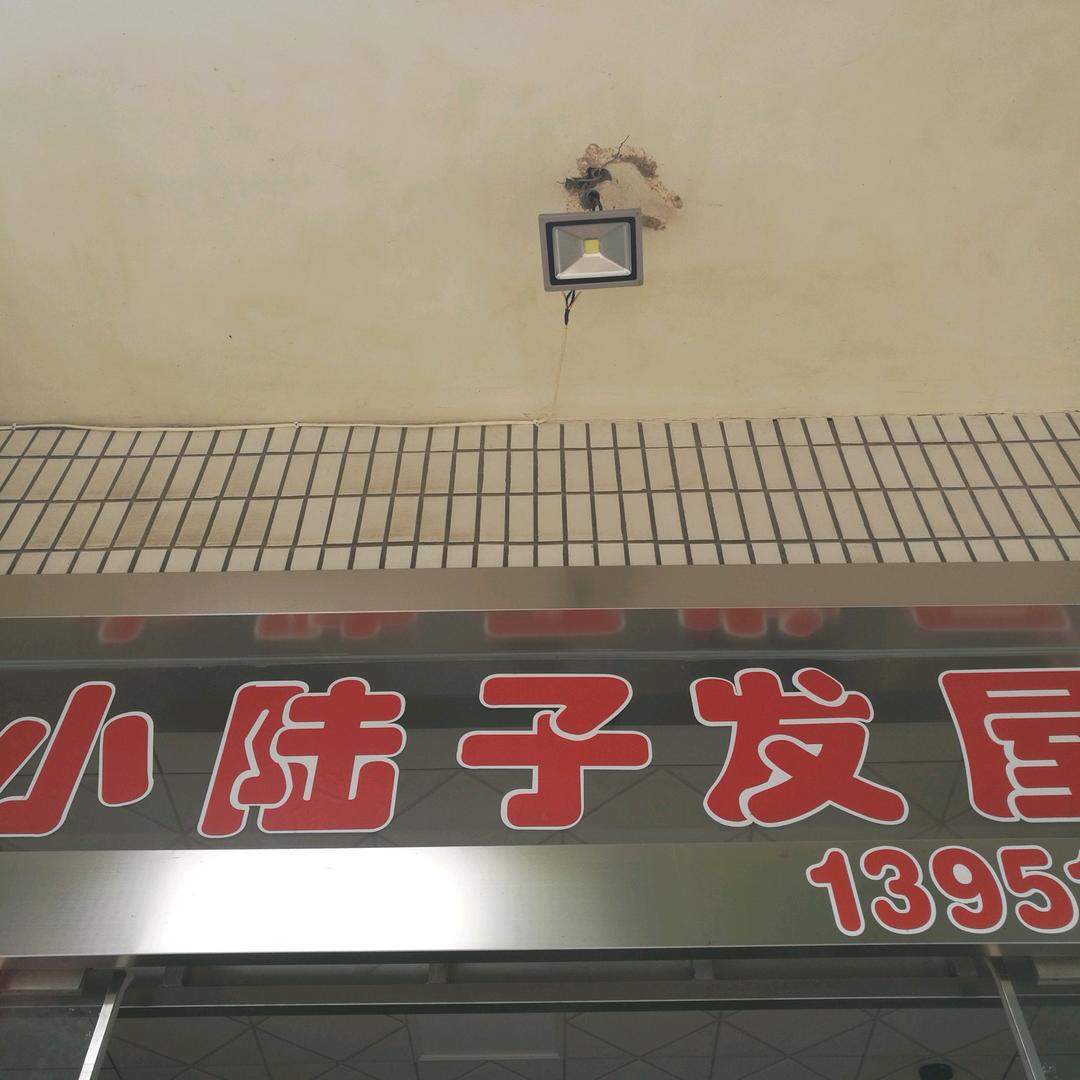 小陆子发屋