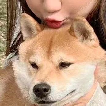 鱼鱼的狗狗