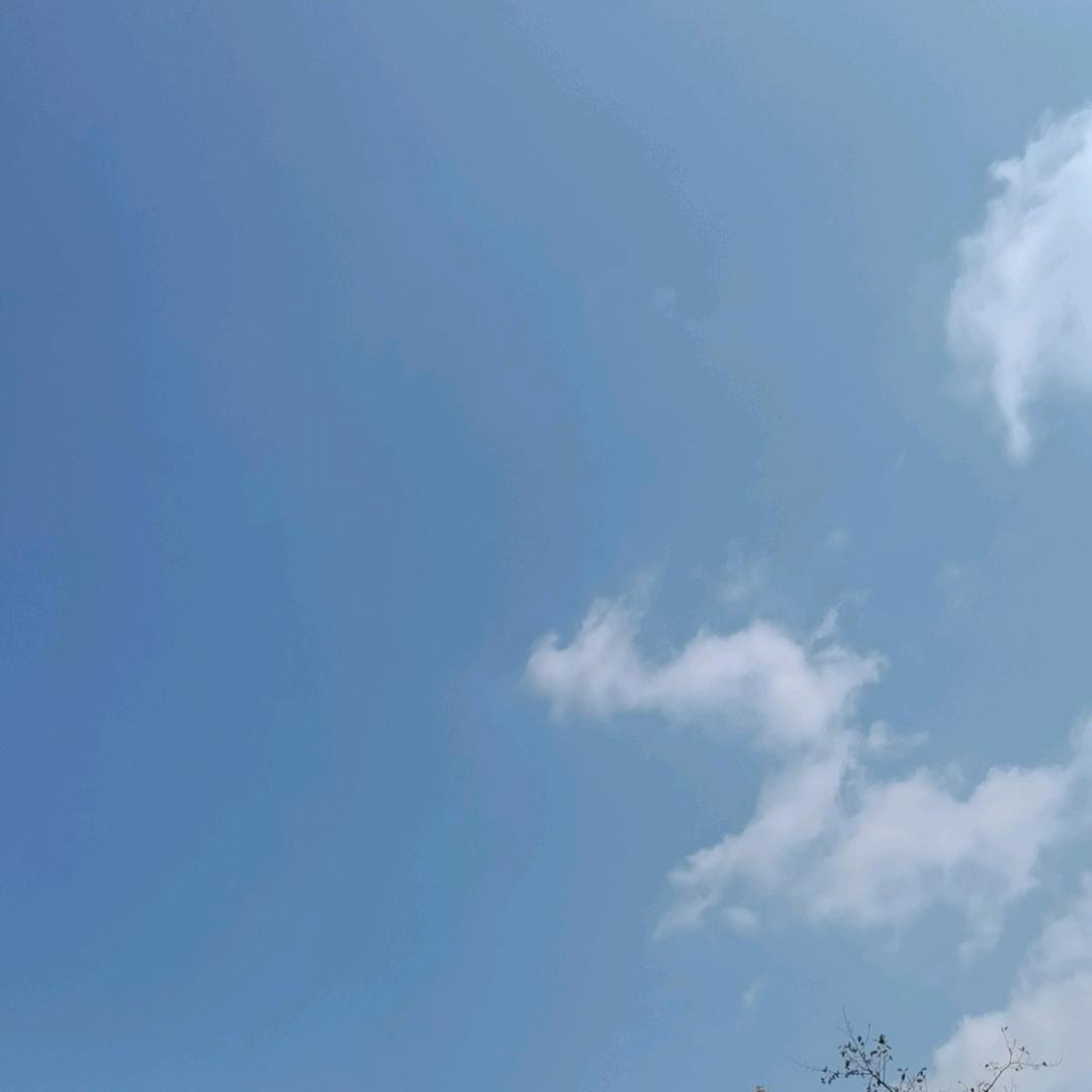 小藤呀
