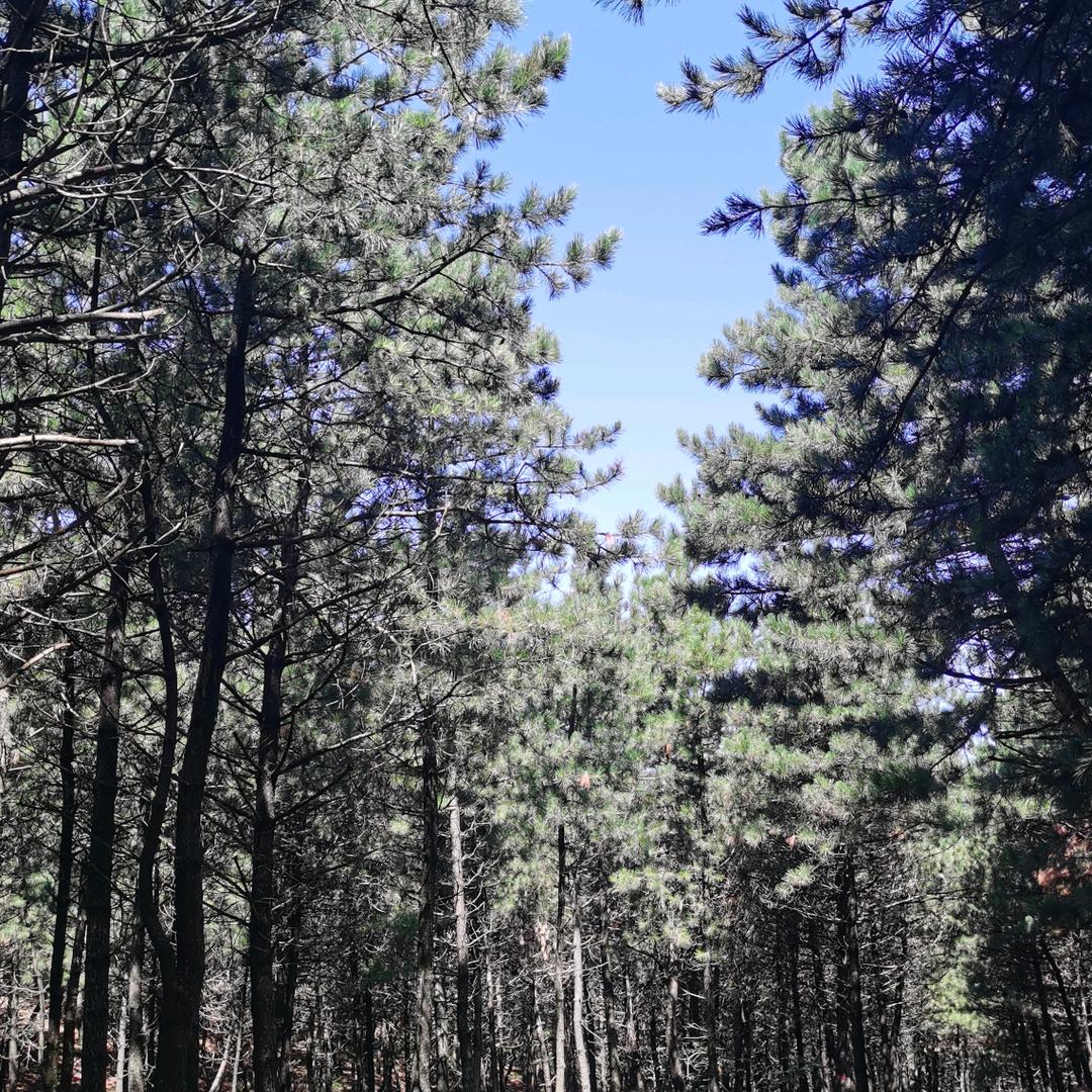 巨鹿小寨大刘烧烤