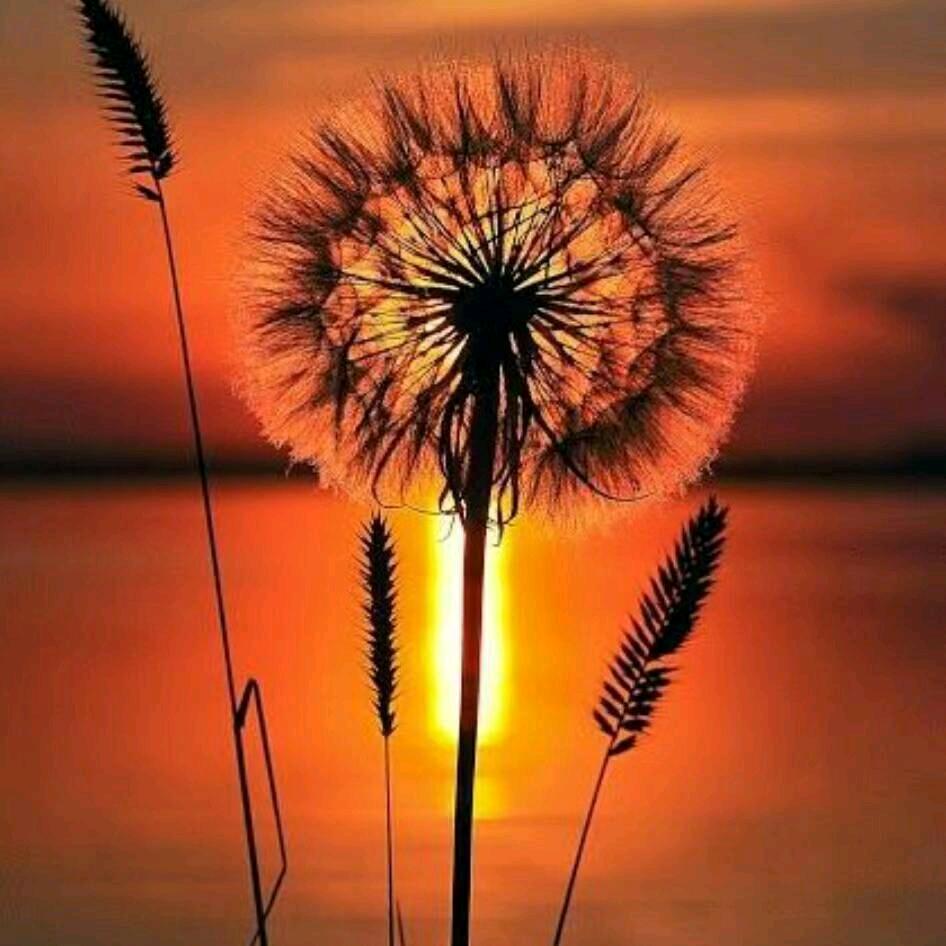 ༄༊࿆💞萌面人ღ᭄ꦿ࿐