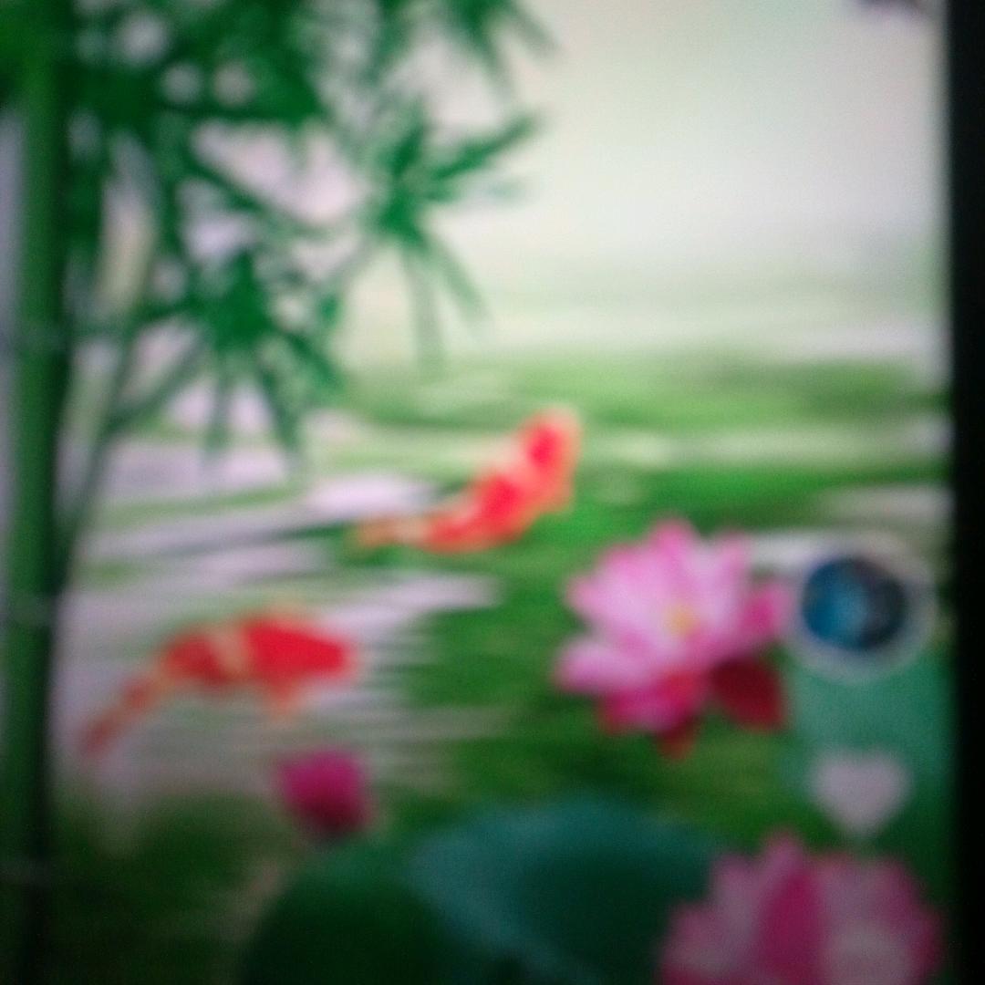 我叫,晶晶!大家新年好!