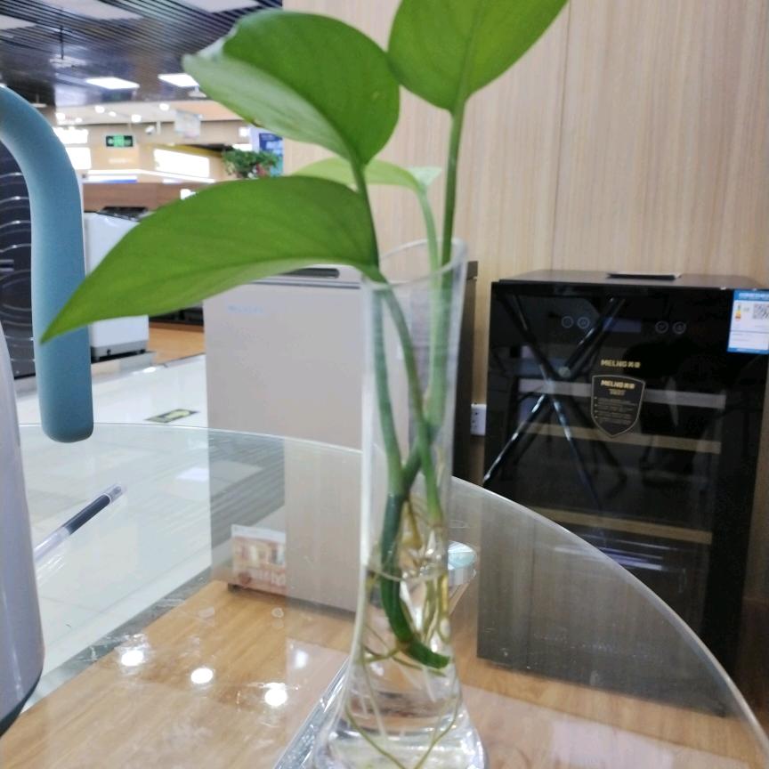 钱