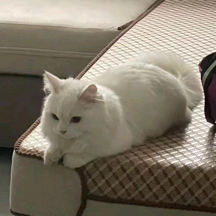 .💤💤💤