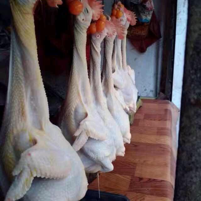 进平  生鲜家禽  蔬果店